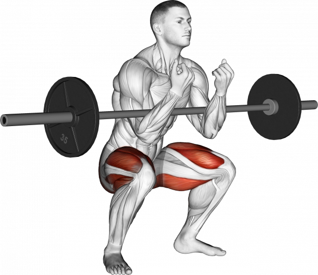 Isométique : squat à la barre droite, barre devant